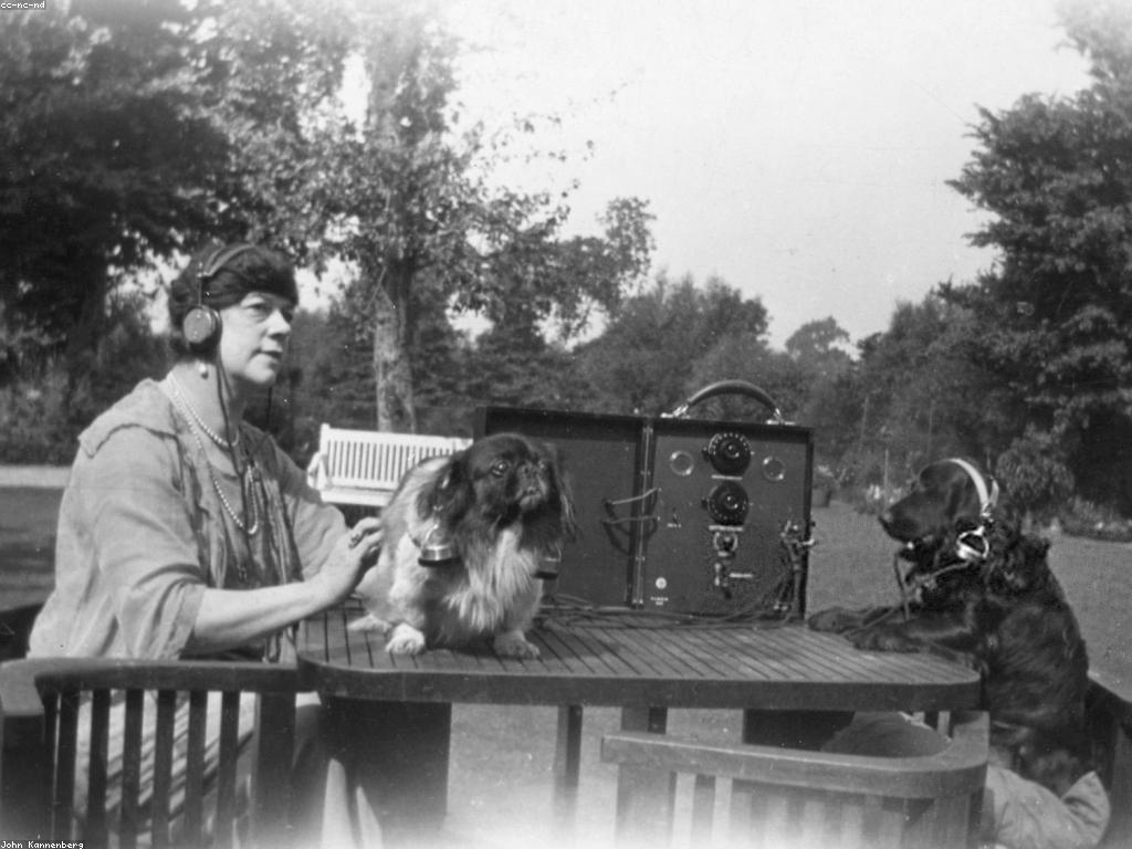 វិធីរកលុយតាមអ៊ីនធឺណិត